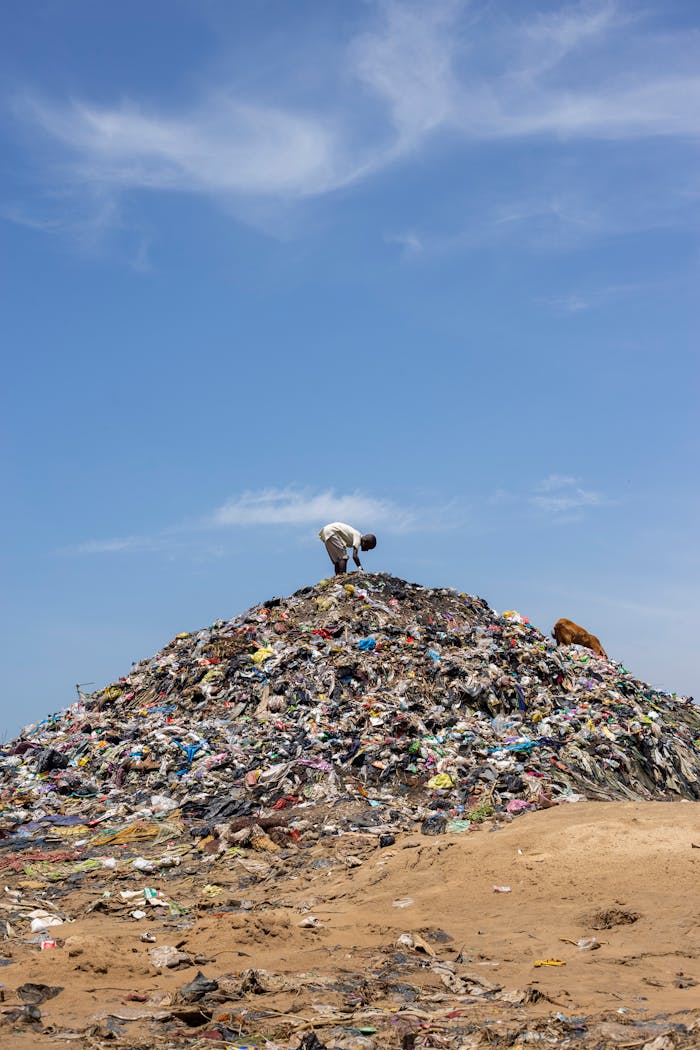 Man Working at Garbage Dump